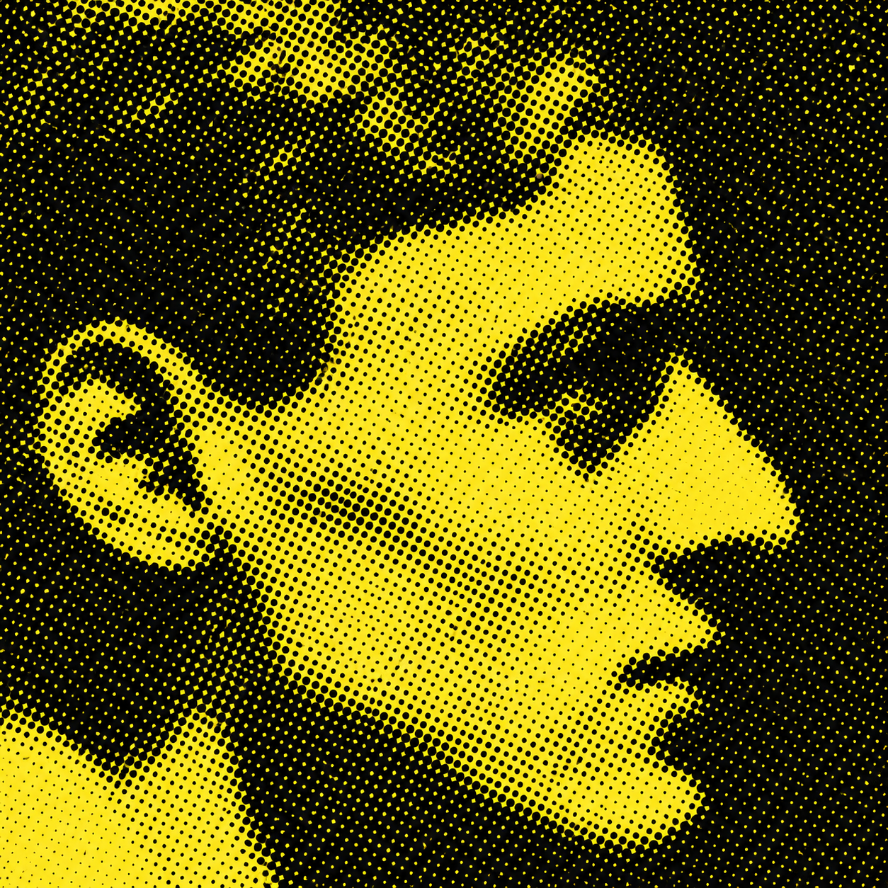 Portrait de HAAS Xavier — Droits réservés